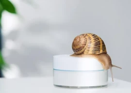 want the glow without the goo ditch snail mucin for these four plant based miracle workers