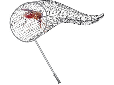 anti dengue day women s make up attracts mosquitoes