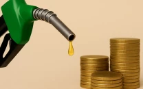 govt bypasses pol pricing formulas