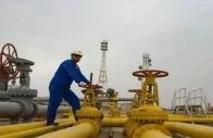 spinwam gas bidding violates rules