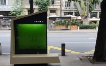 liquid tree to combat pollution