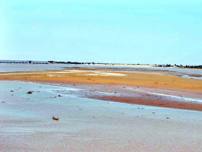 lhc seeks reply from govt for failing to invoke indus water treaty