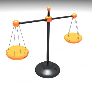 court speech verdict reserved on how to address judges