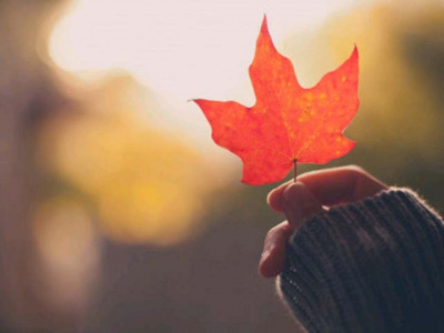 conversations and resistance conversations and resistance