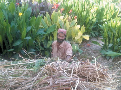 the emerald empire the emerald empire