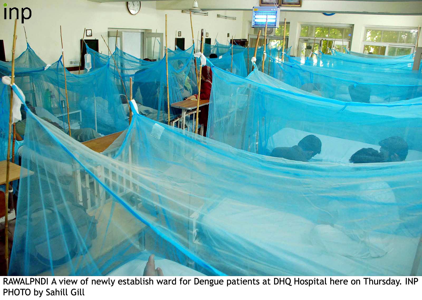 7 more test positive for dengue fever