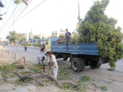 city govt s plan for a greener karachi may backfire environmentalists fear city govt s plan for a greener karachi may backfire environmentalists fear
