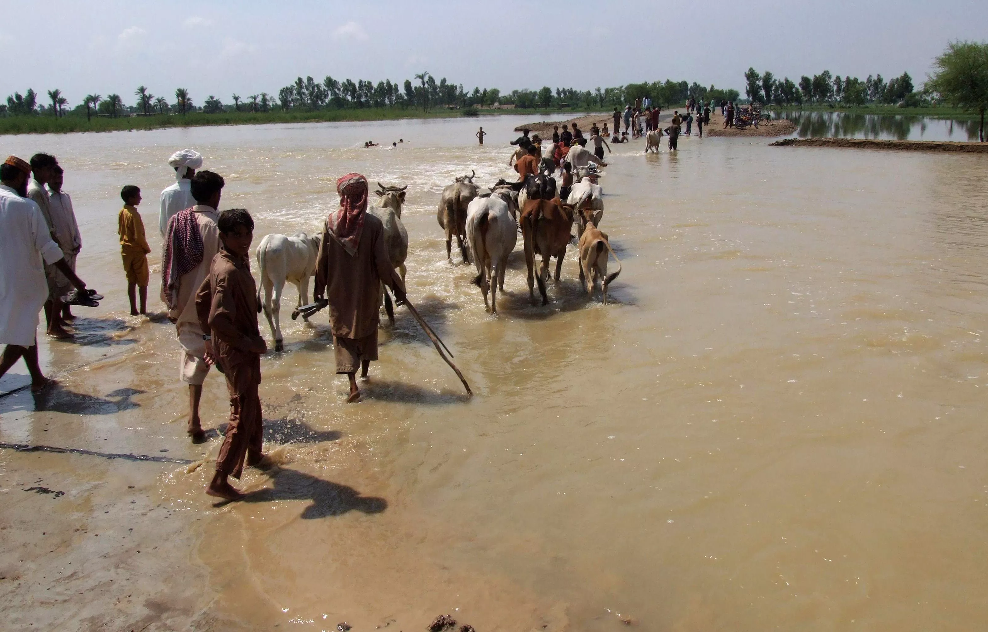 ndma to brief senate panel on floods ndma to brief senate panel on floods