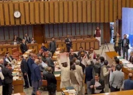 bill to increase apex court strength sparks senate protest