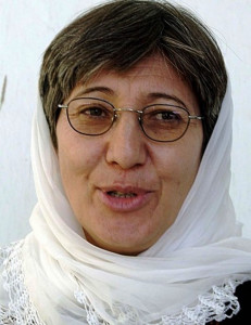 afghan burqa opponent wins swedish rights prize