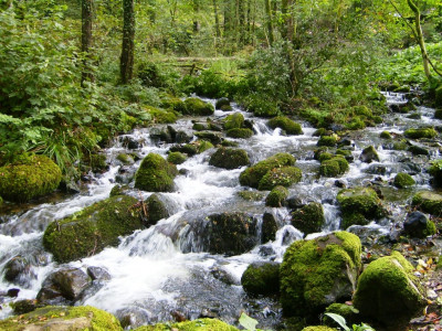tallest waterfall in hazara division obscured by neglect