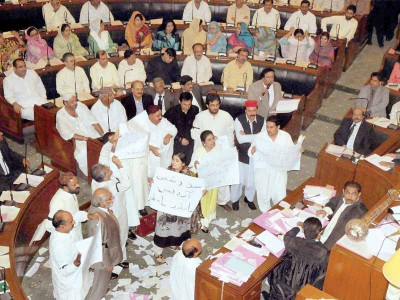 the backbencher scratching the local government itch