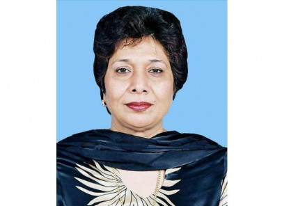 dual nationality case sc suspends pml q mna