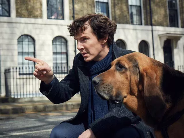 the first quarter of the episode was the only time benedict cumberbatch was even remotely sherlock photo imdb the first quarter of the episode was the only time benedict cumberbatch was even remotely sherlock photo imdb