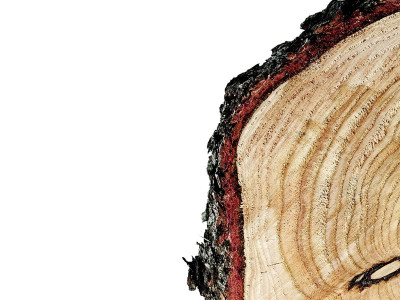 price hike fata timber association says no to forest tax price hike fata timber association says no to forest tax