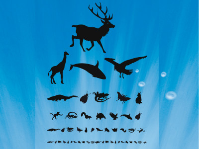 2010 floods two years after wildlife survey yet to be conducted