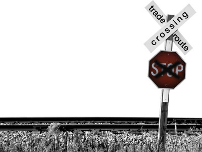 trade with south asia pakistan to cut tariff lines to only 100 by april 2013