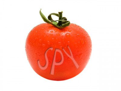 spying devices found in vegetable consignment from india report spying devices found in vegetable consignment from india report