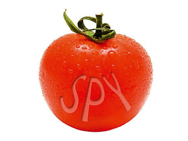 illicit cargo indian tomatoes might be raw illicit cargo indian tomatoes might be raw
