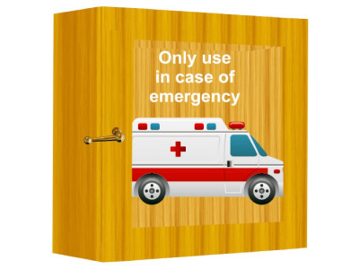 false alarm ambulance used to transport files