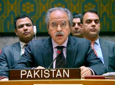 pak backs africa s unsc rep demand