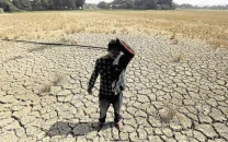 warming el nino set to return in mid 2026 un