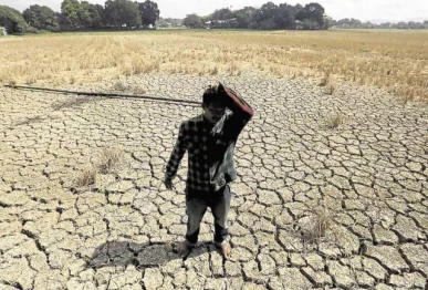 warming el nino set to return in mid 2026 un