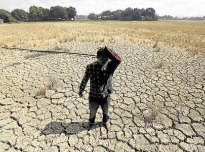 warming el nino set to return in mid 2026 un