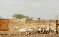 grazing lands under pressure amid water woes