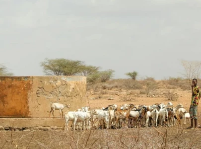 grazing lands under pressure amid water woes