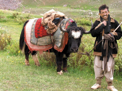 walking with the wakhi walking with the wakhi