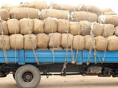 high cotton supply dispels crop loss rumours
