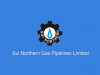 qualified expert sought for gas firm