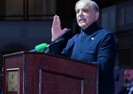 pm shehbaz reaffirms pakistan s commitment for peace stability in region