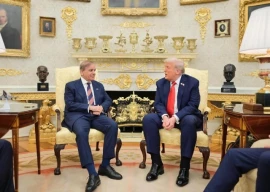 us firms to invest in pakistan s it energy sectors shehbaz says after meeting trump us firms to invest in pakistan s it energy sectors shehbaz says after meeting trump