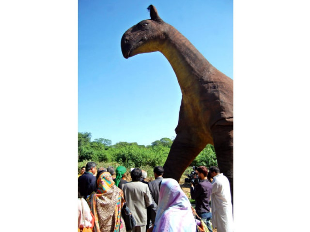 now on display the giant baluchitherium roamed the forests of balochistan