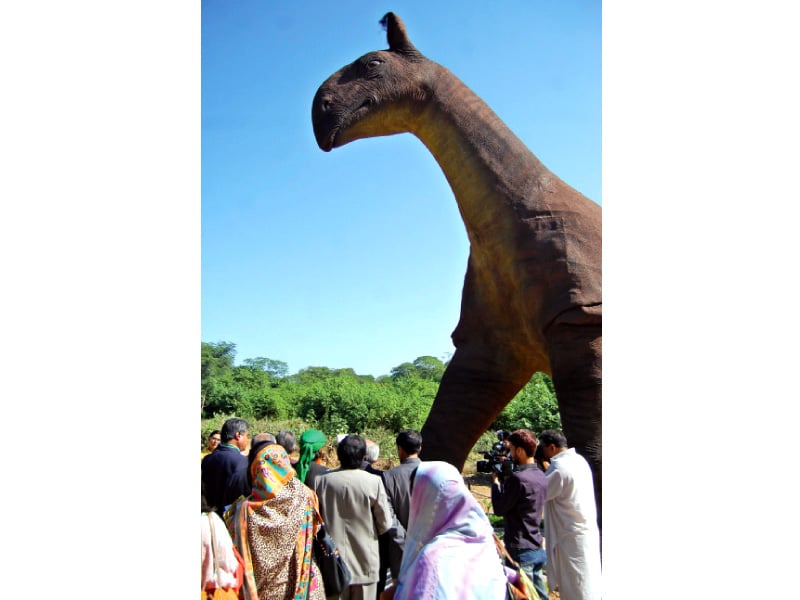 now on display the giant baluchitherium roamed the forests of balochistan