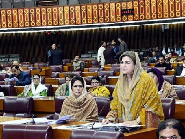 parliamentary secretary for federal education and professional training farah naz akbar speaks during a national assembly session in islamabad on february 14 2025 courtesy facebook nationalassemblyofpakistan parliamentary secretary for federal education and professional training farah naz akbar speaks during a national assembly session in islamabad on february 14 2025 courtesy facebook nationalassemblyofpakistan