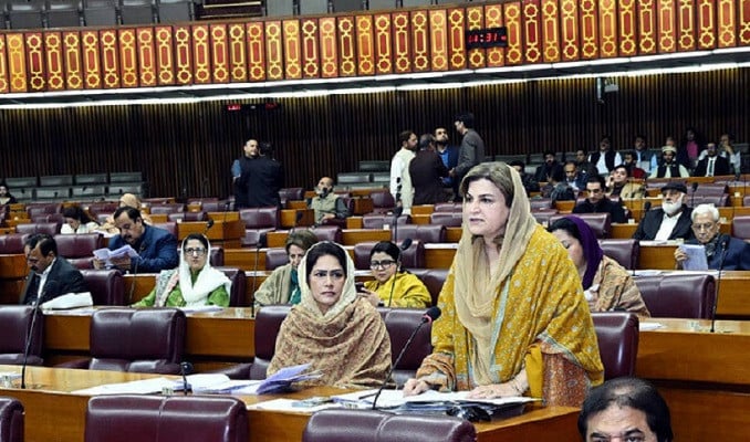 parliamentary secretary for federal education and professional training farah naz akbar speaks during a national assembly session in islamabad on february 14 2025 courtesy facebook nationalassemblyofpakistan