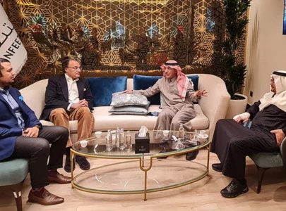 pakistan saudi finance ministers discuss strengthening economic ties