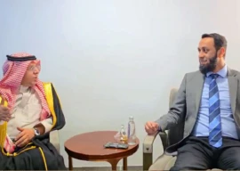 pakistan saudi arabia form joint committee to collaborate on media projects pakistan saudi arabia form joint committee to collaborate on media projects