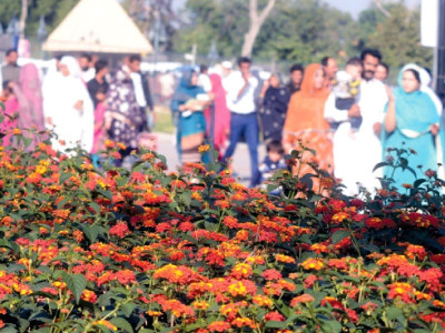 parks buzz again as war threat subsides