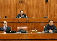 senate panel approves bill on blue passports