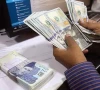 38b remittances dwarf exports