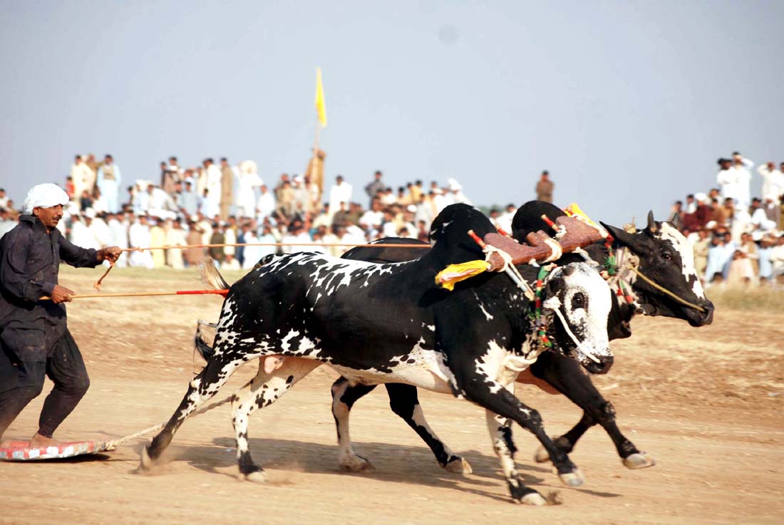 Updated Nov 13, 2012