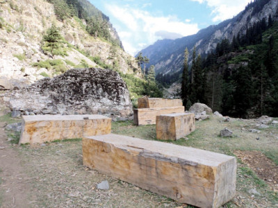 timber smuggling precious forests thinning out in swat