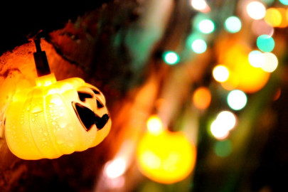 uk man gave cocaine to trick or treaters by mistake