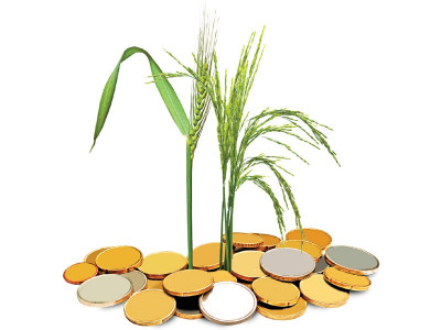 mfn status to india farmers alone in their fight against indian imports mfn status to india farmers alone in their fight against indian imports