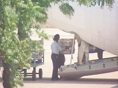 customs officials thwart attempt to smuggle wildlife customs officials thwart attempt to smuggle wildlife