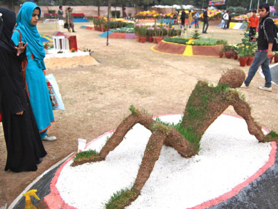 flowers and birds bring smiles at arid varsity